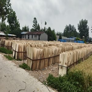 单板干燥和储存